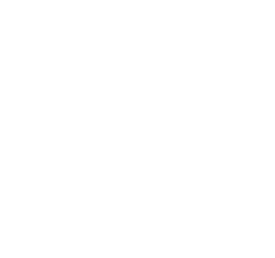 logo light